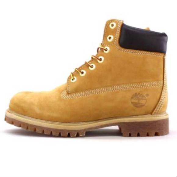 Timberland Shoes - Tims